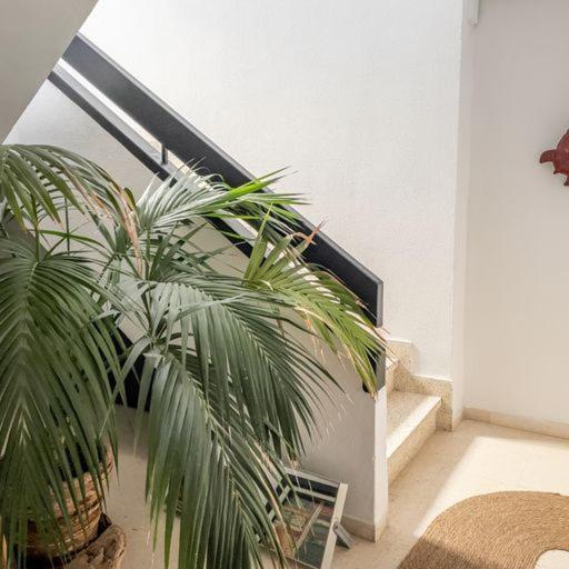Baluarte Del Guadiana Apartment อายามอนเต ภายนอก รูปภาพ